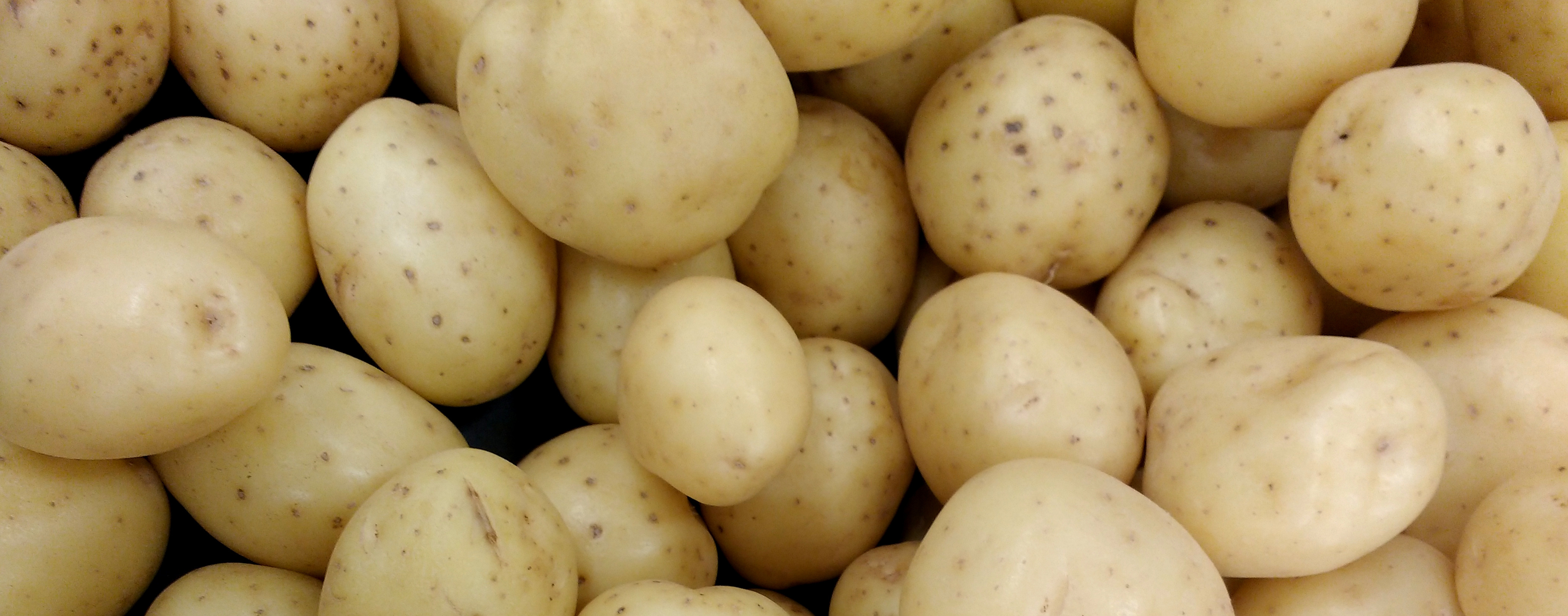 Yukon Gold potatoes